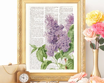 DICTIONARY art print PURPLE LILACS, Vintage illustration, Wall Art, Farmhouse decor, Cottage style, Shabby chic, Botanical Art, flower, #190