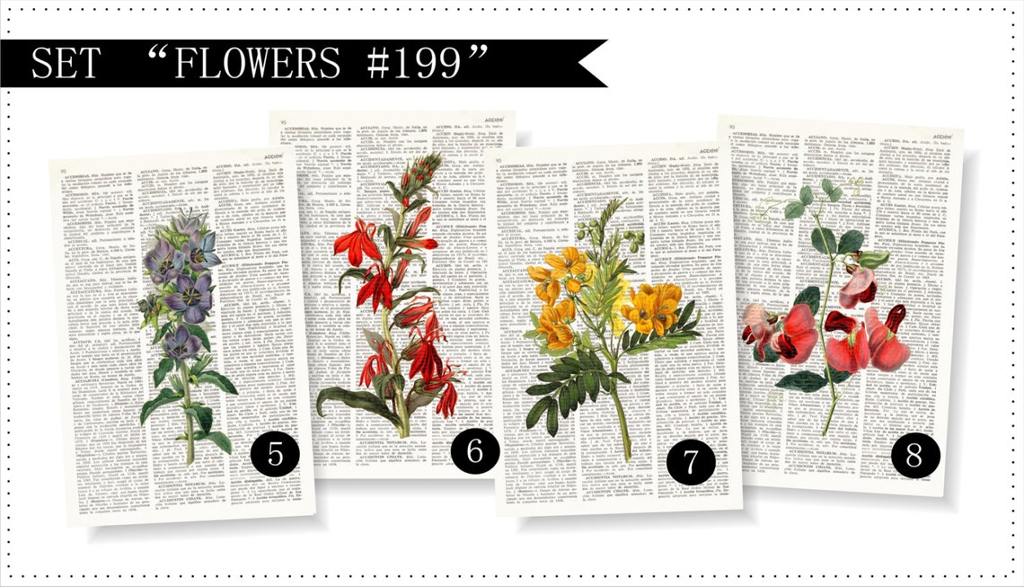 FLOWERS Dictionary Art Print Set Botanical Print Set Pressed Etsy