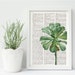 see more listings in the BOTANY section