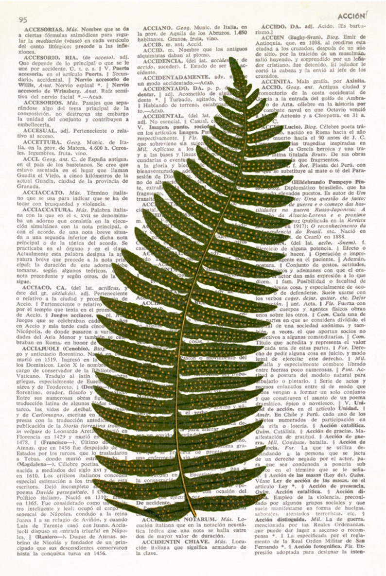 Fern Dictionary Art Print Herbarium Specimen Print Fern Etsy