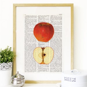 Dictionary Art Print APPLE, Kitchen Wall Decor, Wall Art, Botanical prints, fruit art, kitchen prints, food art, Vintage illustration, 176 image 1