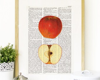 Dictionary Art Print APPLE, Kitchen Wall Decor, Wall Art, Botanical prints, fruit art, kitchen prints, food art, Vintage illustration, #176