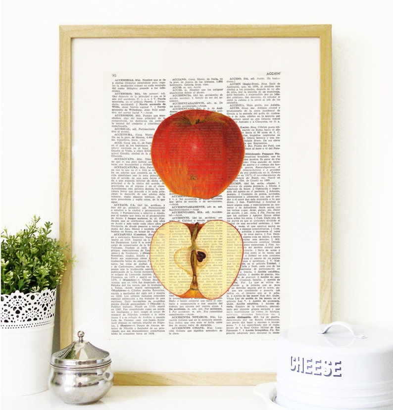 Dictionary Art Print APPLE, Kitchen Wall Decor, Wall Art, Botanical prints, fruit art, kitchen prints, food art, Vintage illustration, 176 image 1