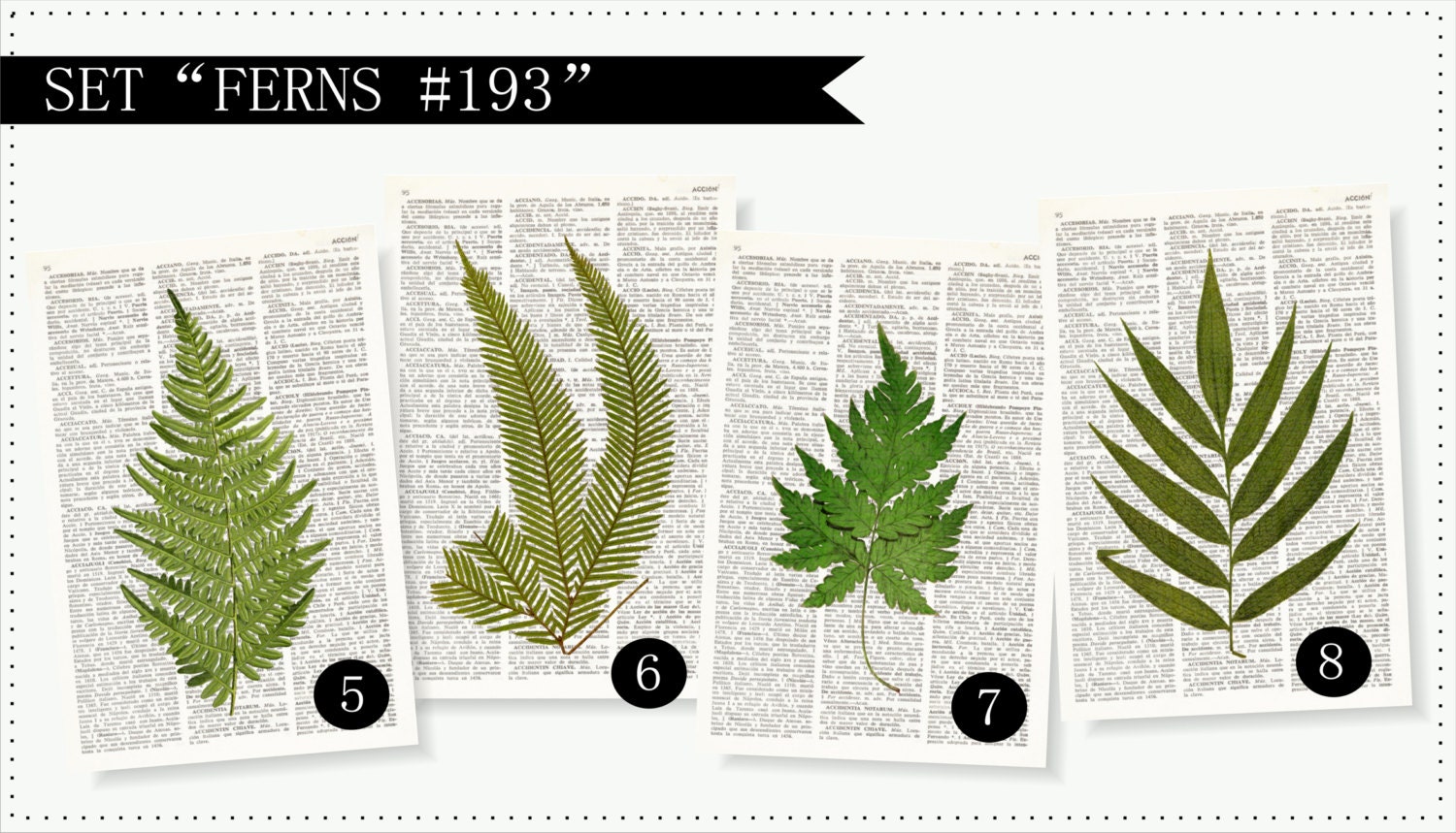 FERNS Dictionary Art Print Set Botanical Prints Fern Print Etsy