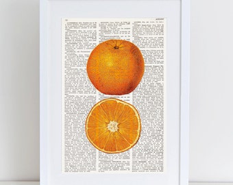 Dictionary Art Print ORANGE, Kitchen Wall Decor, Wall Art, Botanical prints, fruit art, kitchen prints, food art, Vintage illustration, #177