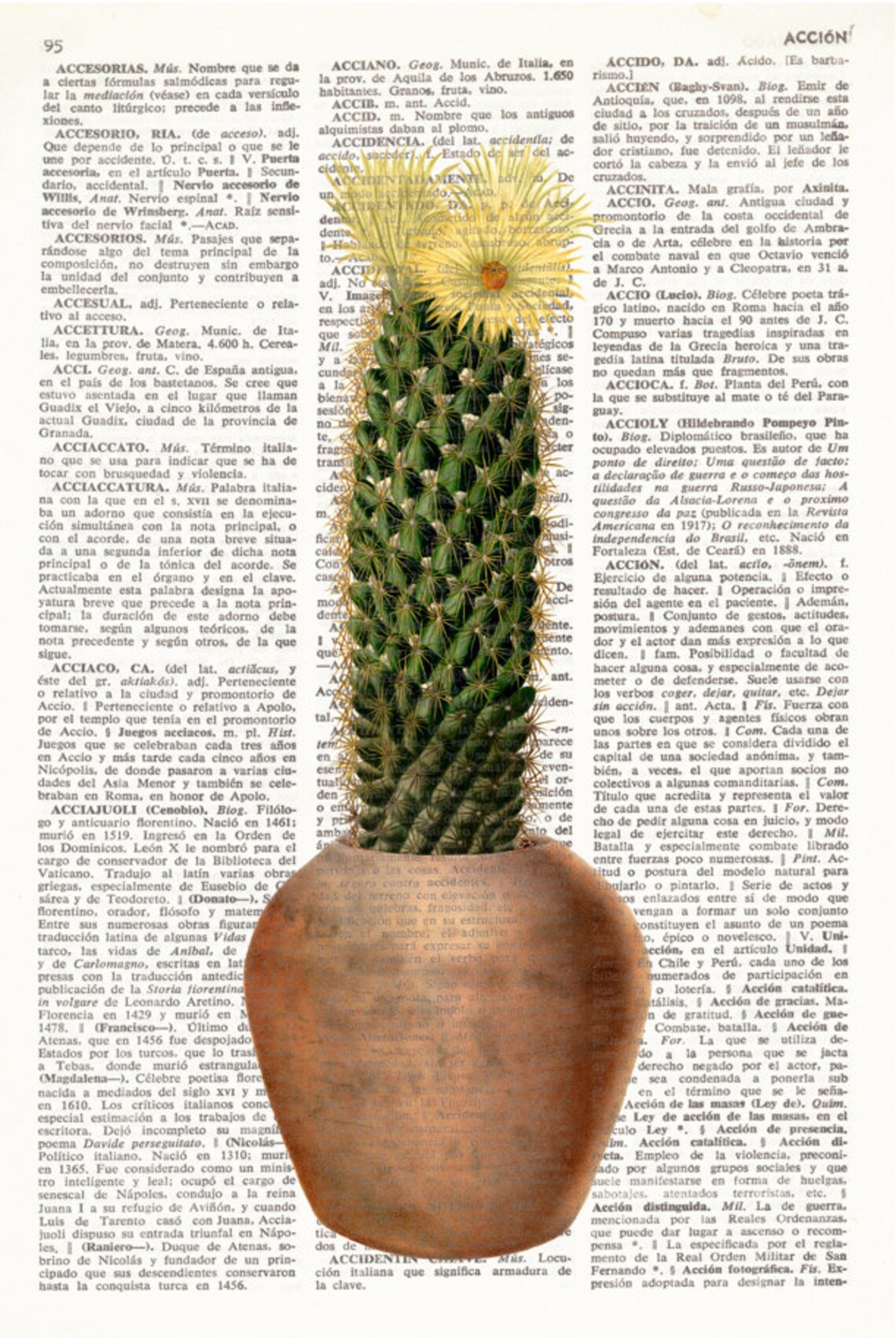 DICTIONARY PRINT CACTUS, Vintage Illustration, Plants, Cacti, Botanical