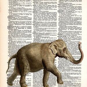 ELEPHANT Dictionary Art Print, Safari Nursery Art, Jungle baby shower decorations, Wall Art, zoo animals, children art, nursery decor 154-1 image 2