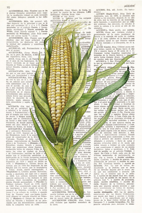 Dictionary Art Print CORN Vintage Dictionary Page Kitchen Etsy