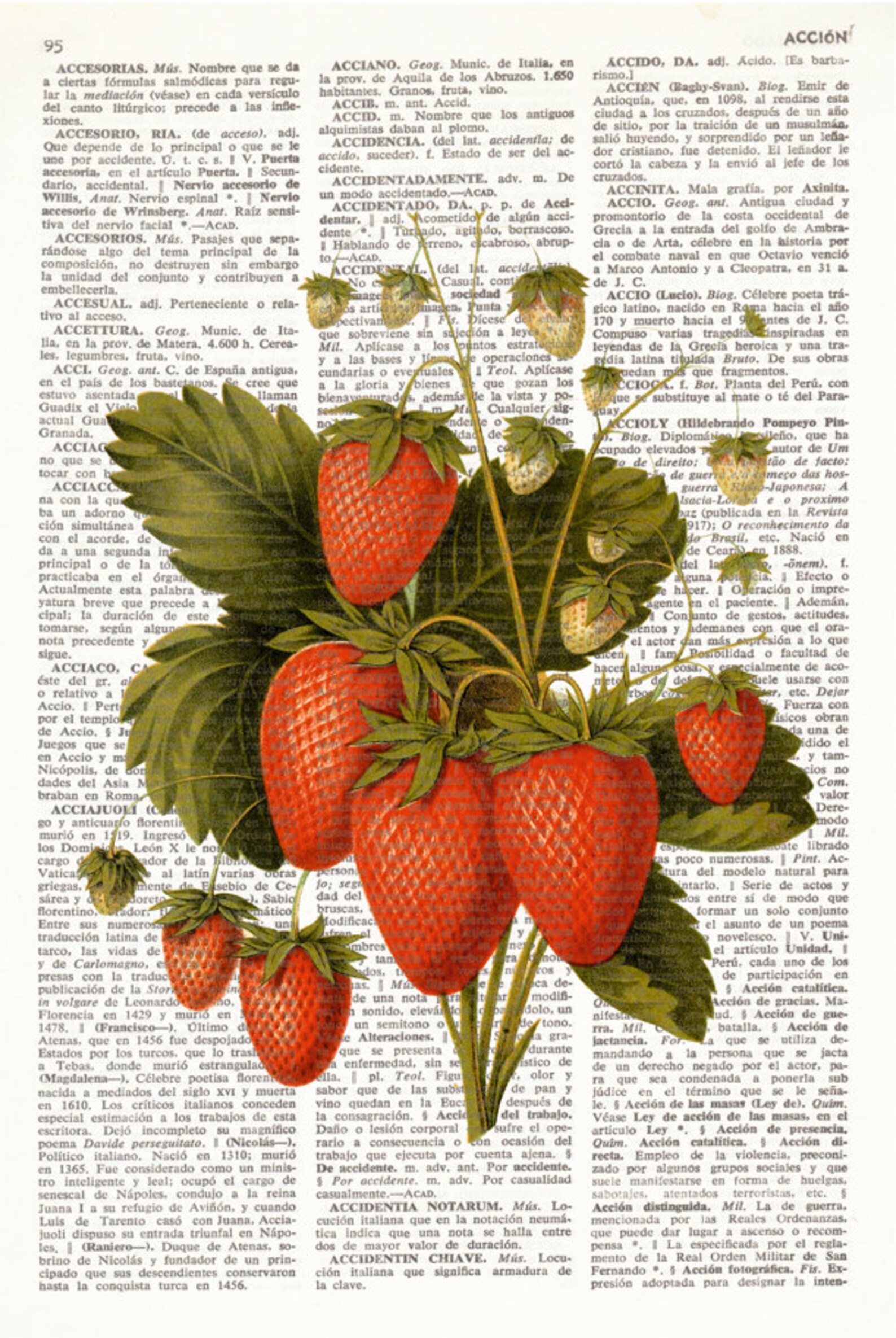Dictionary Print STRAWBERRIES, Vintage Illustration, Kitchen Decor, Fruit Wall Art, Cottage