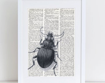 Dictionary Art BEETLE BUG, vintage dictionary paper, Collage Print on Dictionary Page, Insect print, bug print, animal prints, zoology, #058