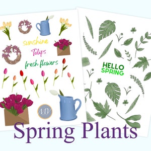 Spring Tulips and Green Leaves