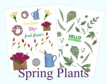 Spring Tulips and Green Leaves