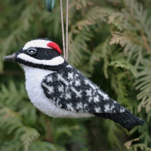 Pájaro carpintero velloso, adorno de pájaro de lana, hecho a mano