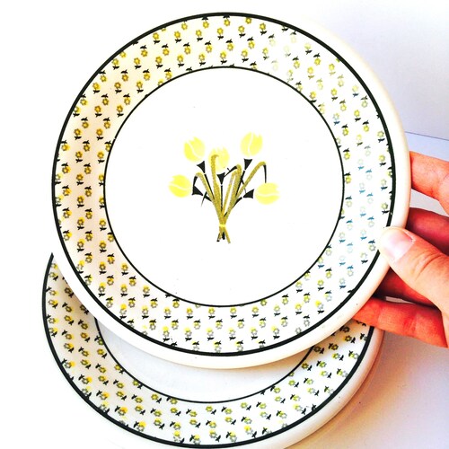 Vintage Salem Dessert Plates Set of Sixtulips in Etsy