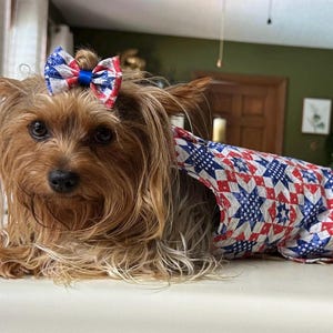 愛国的なパートドレスとそれに合うヘアリボン