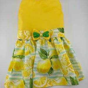 Pode incluir: Vestido amarelo para cães com saia estampada de limão e laço verde. O corpete é amarelo liso, e a saia apresenta um padrão de limões e folhas verdes sobre um fundo listrado. Um pequeno laço verde com um detalhe dourado está na cintura.