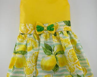 Yellow outfit for dogs
