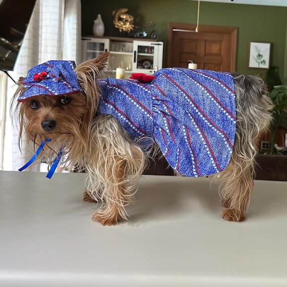Patriotic Dog Dress and Hat Outfit for Pets