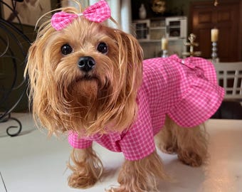 Peut inclure: Un petit chien à longs poils brun clair porte une robe à carreaux roses et un nœud assorti. Le chien est debout sur une surface blanche, regardant directement l'appareil photo. La robe a une jupe à volants.