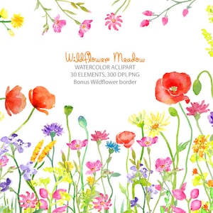 Watercolor clipart - Wild flower meadow border instant download for greeting cards, wedding card, invitations