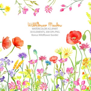Clipart aquarela - download instantâneo da borda do prado de flores silvestres para cartões comemorativos, cartão de casamento, convites