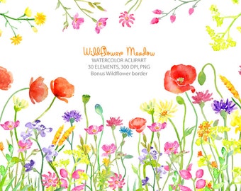 Watercolor clipart - Wild flower meadow border instant download for greeting cards, wedding card, invitations
