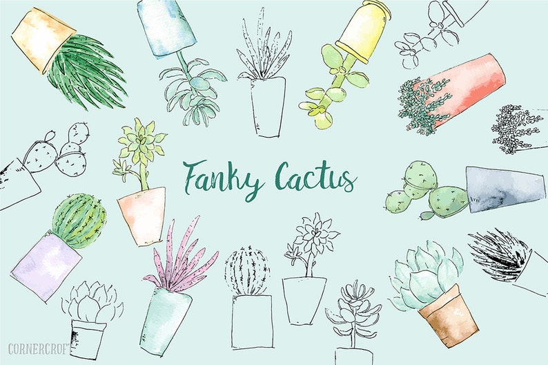 May include: A whimsical illustration of various cacti and succulents in pots, with the text "Funky Cactus" in green lettering.