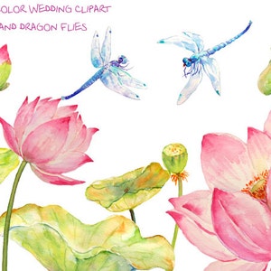 Clipart de la boda - flores de loto rosa de la acuarela, hojas y cabeza de semilla y 2 moscas dragón azul imprimible invitación de descarga instantánea (set5)