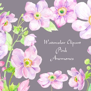 Watercolor pink anemone purple anemone clipart instant download