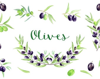 Olive clipart olive branches for instant download.