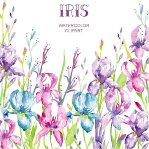 Watercolor irises for instant download
