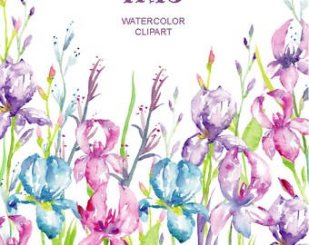 Watercolor irises for instant download