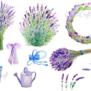 Watercolor Lavender Clip Art for Instant Download