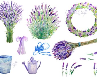 Watercolor Lavender Clip Art for Instant Download