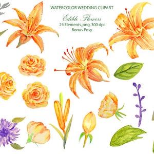 Clipart de boda - Lirio de día naranja acuarela, rosas, flores de maíz y lanvender descarga instantánea imprimible para invitaciones de boda (set22)