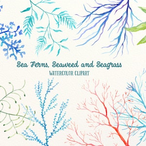 Clipart aquarelle fougères de mer, les algues et les herbiers instant téléchargement cartes, salle de bain, Déco murale de cuisine