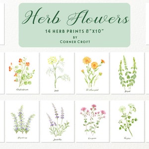 Herb Flower Clipart, Watercolor Herb Flowers Illustration, Herb Prints ...