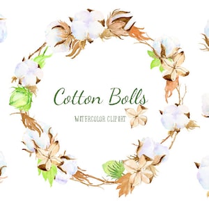 Watercolor Clip Art Cotton Boll Illustration printable instant download
