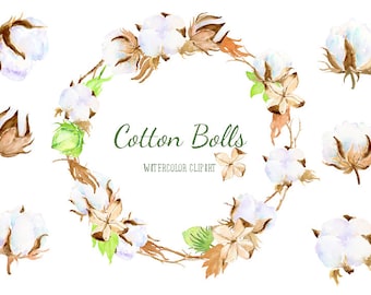 Watercolor Clip Art Cotton Boll Illustration printable instant download