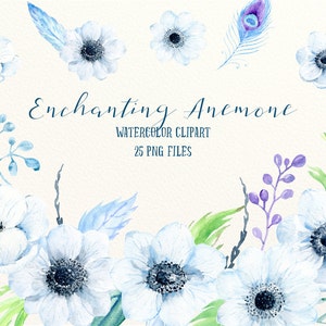Watercolor Clipart Enchanting Anemone, white/blue anemones, feathers and decorative elements for instant download