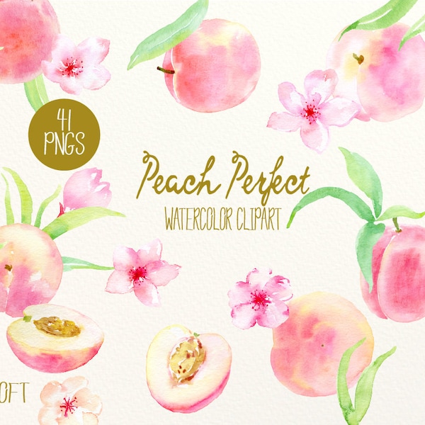 Watercolor Clipart Peach Perfect, peaches, pink flowers and leaves, peach patterns for instant download, peach clipart