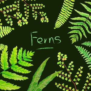 Fougère de frondes de fougère aquarelle de peint à la main des feuilles Téléchargement instantané numérique clipart pour décoration murale de cartes de voeux