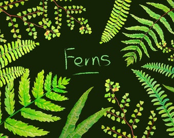 Hand painted watercolor fern fronds fern leaves digital clipart instant download for greeting cards wall decor