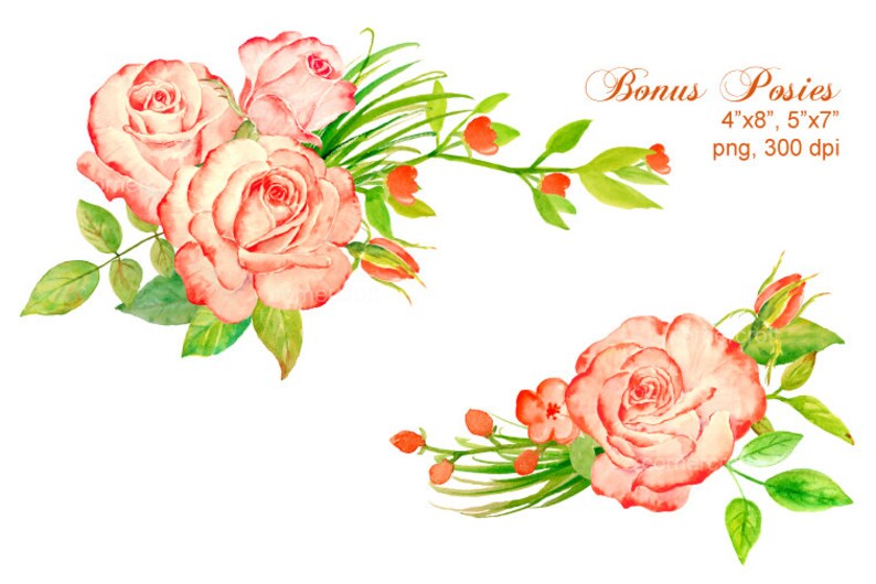 May include: Two watercolor illustrations of pink roses with green leaves and stems. The first illustration features three roses, while the second illustration features one rose. Both illustrations include small red flowers.