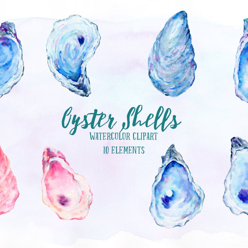 Shell Watercolor - Etsy