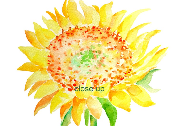 Free Free 222 Clipart Sunflower Stem SVG PNG EPS DXF File