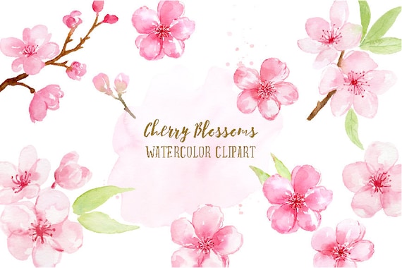 Watercolor Clipart cherry blossoms pink flowers spring | Etsy