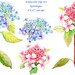 see more listings in the Flower Clipart section