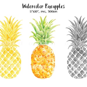 Aquarell-Ananas, Silber und gold Ananas für sofort-Download, Kunstdrucke, scrapbook
