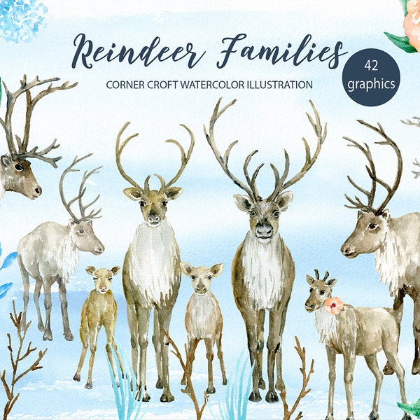 Reindeer clipart, watercolor reindeer family of male deer, female deer and calf for instant download